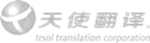 廣東翻譯公司logo